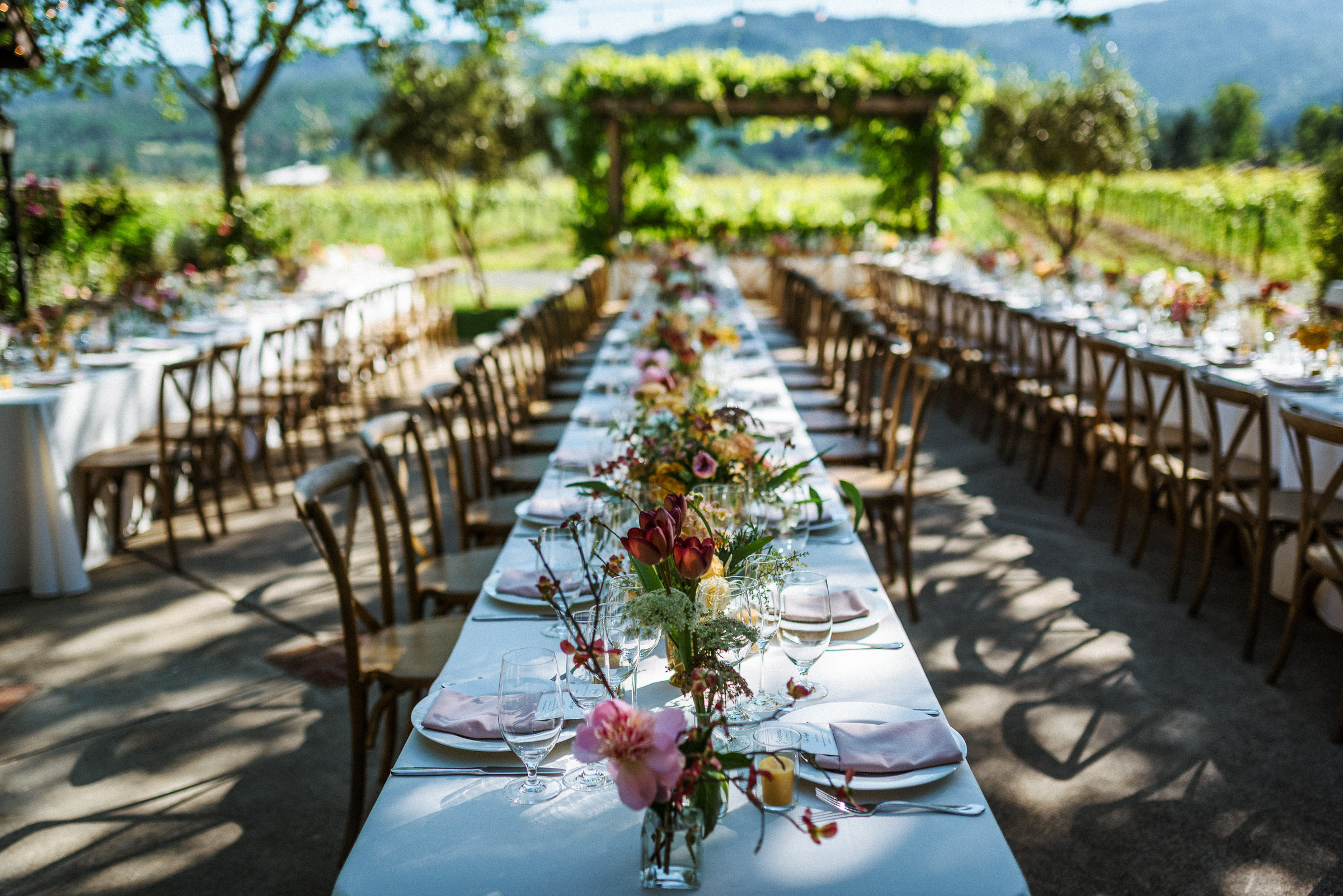 Long reception tables set for dinner overlooking the vineyard at Harvest Inn